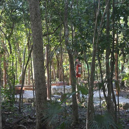 Glamping Mayan Glam Tulum Exterior photo